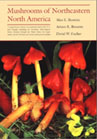 Mushrooms of Northeastern North America